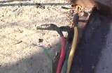 Barajul de la Tărlung, prădat de hoţi săptămânal