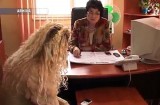 Caz cutremurător la Codlea!