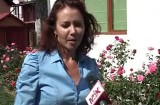 O casă pentru bunici