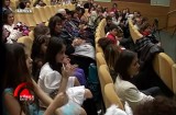 Festivalul Fulg de Nea 2012
