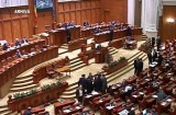 Cum face PNL opozitie