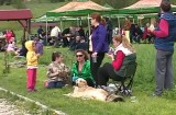 Festivalul ZUP la Rasnov