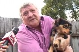Sterilizare gratuită a câinilor în Săcele!