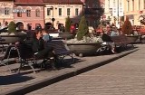 Mai puţine PFA-uri şi SRL-uri