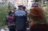 Cei mai scumpi brazi de Crăciun se vând la Braşov