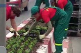 Tensiune maximă la Primăria Braşov
