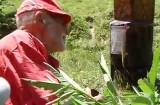 Au lăsat oraşul pentru munte