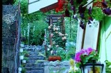 Flora 2012 la Braşov