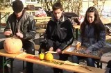 Festivalul sărmăluţelor