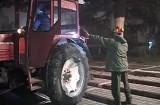 Bradul a fost adus în Piaţa Sfatului