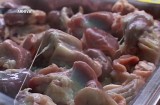 Percheziţii la Braşov